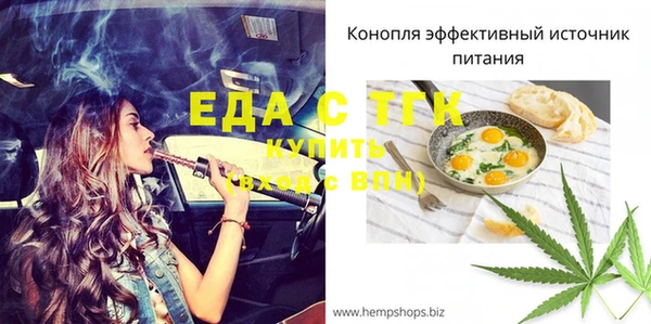 шишки Новосибирск