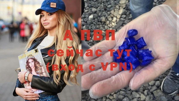 spice Протвино